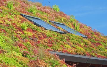 Craigs Lower living roof systems
