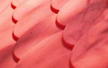 Craigs Lower plastic roof costs