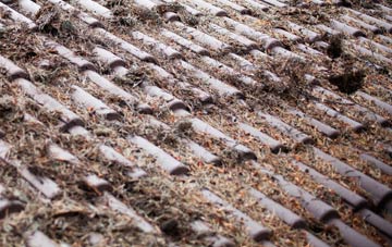 Craigs Lower roof cleaning companies